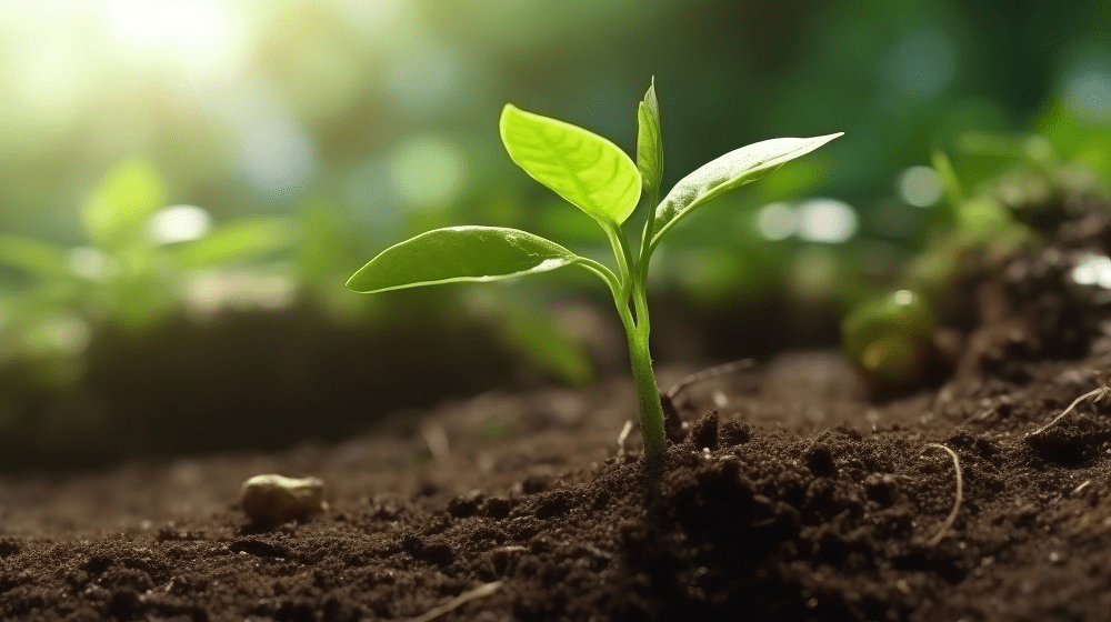 Soil monitoring and resilience directive [EU Legislation in Progress]