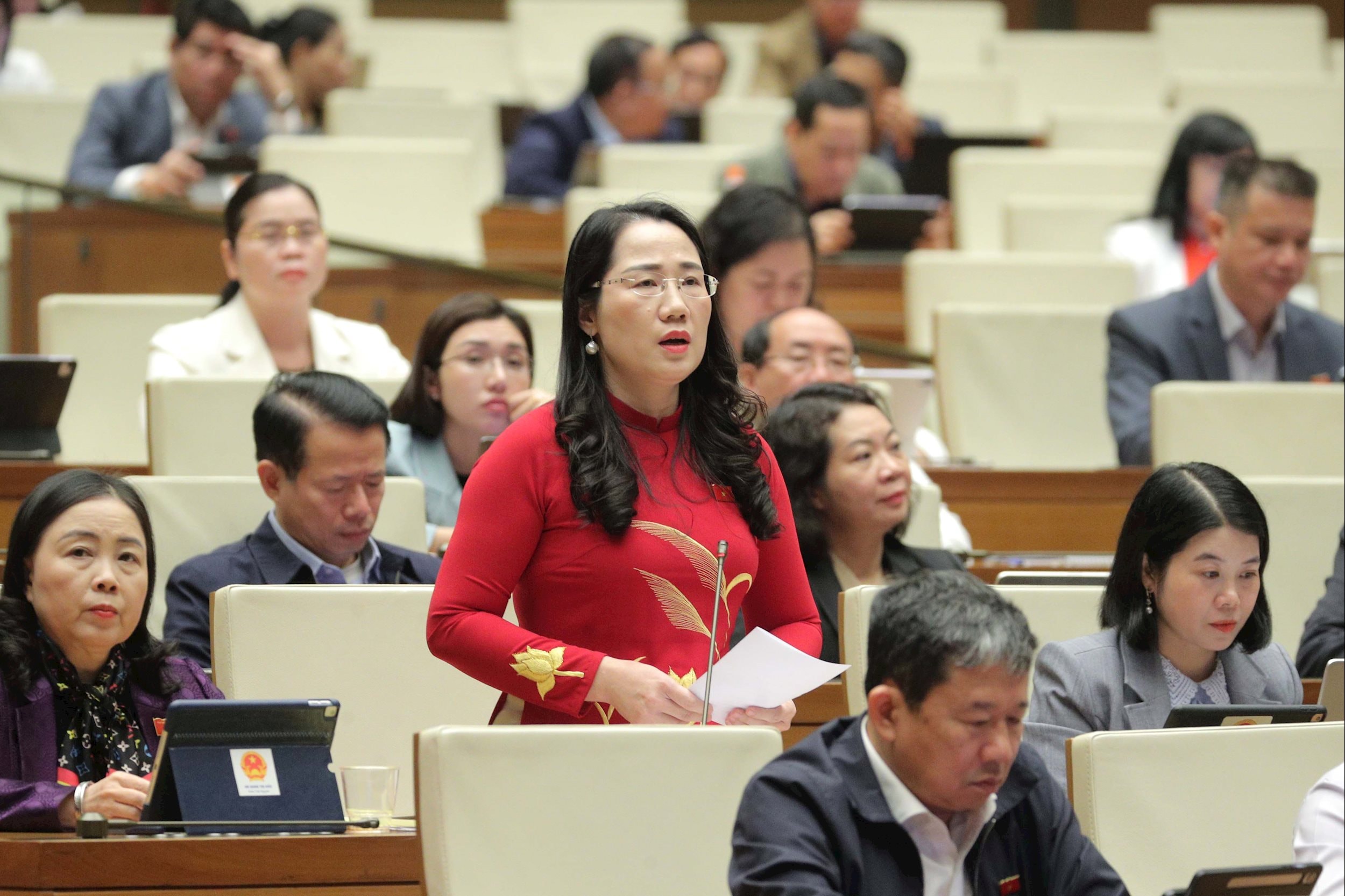 รองผู้แทนรัฐสภาเหงียน ถิ ถวี (ไท เหงียน)