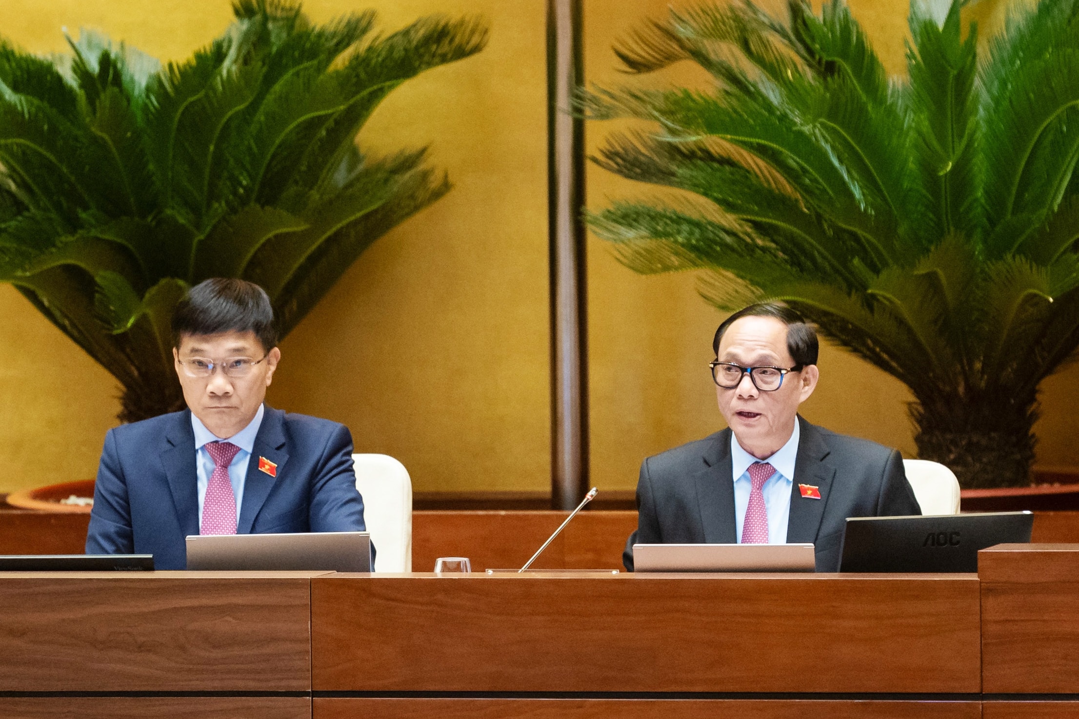 O vice-presidente da Assembleia Nacional, tenente-general Tran Quang Phuong, presidiu a reunião. Foto: Pham Thang