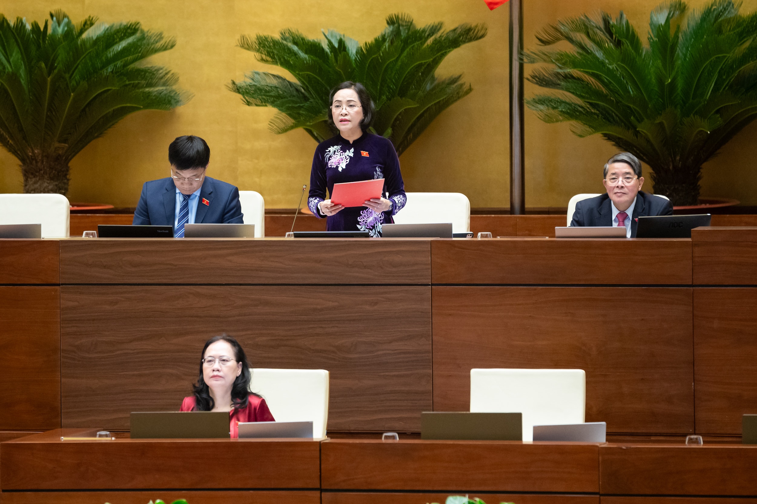 Viseformann i nasjonalforsamlingen, Nguyen Thi Thanh, ledet møtet. Foto: Pham Thang