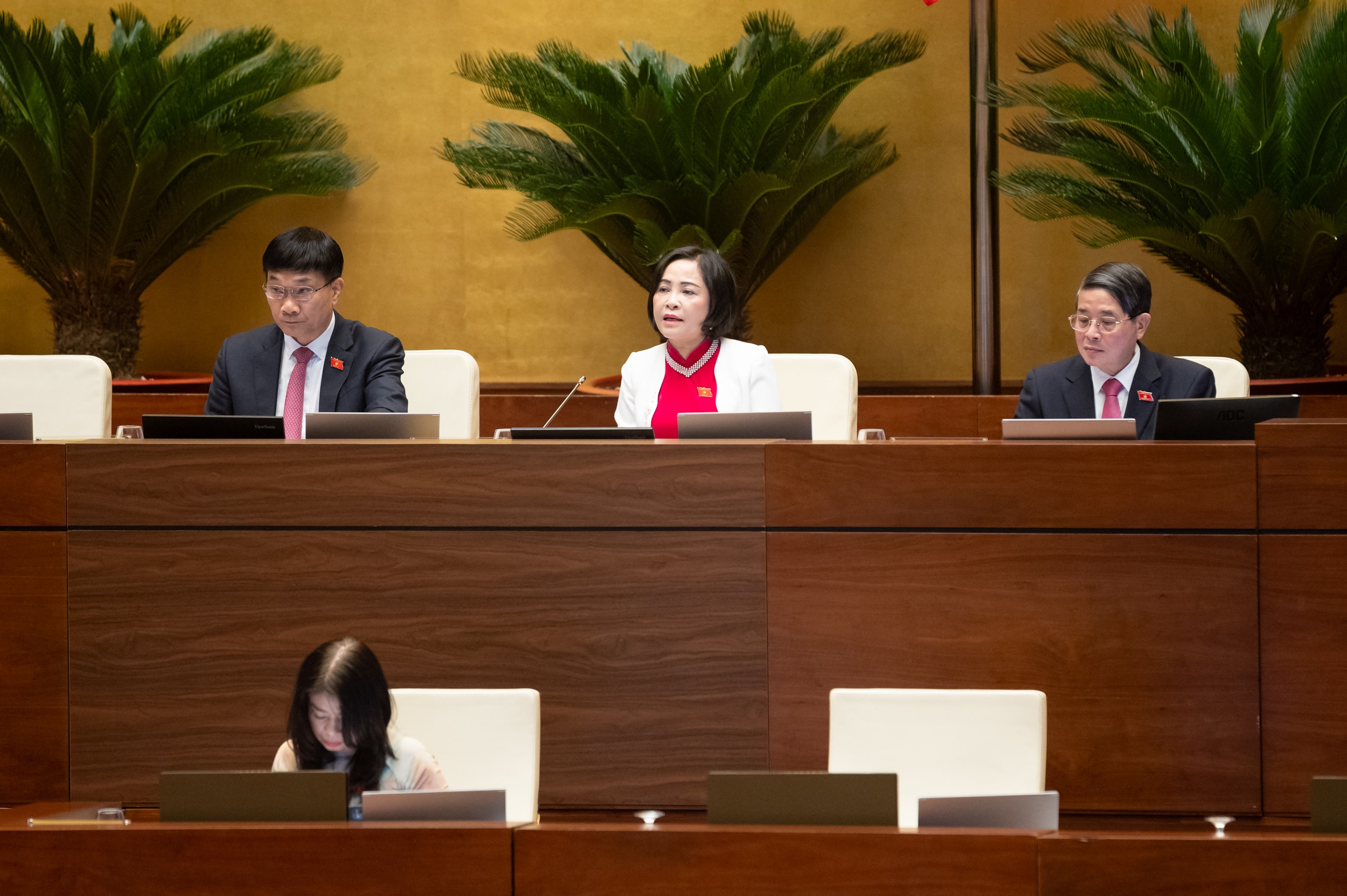 La vice-présidente de l'Assemblée nationale, Nguyen Thi Thanh, a présidé la séance.
