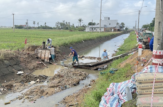 chinh-nam-cannal-vna.jpg