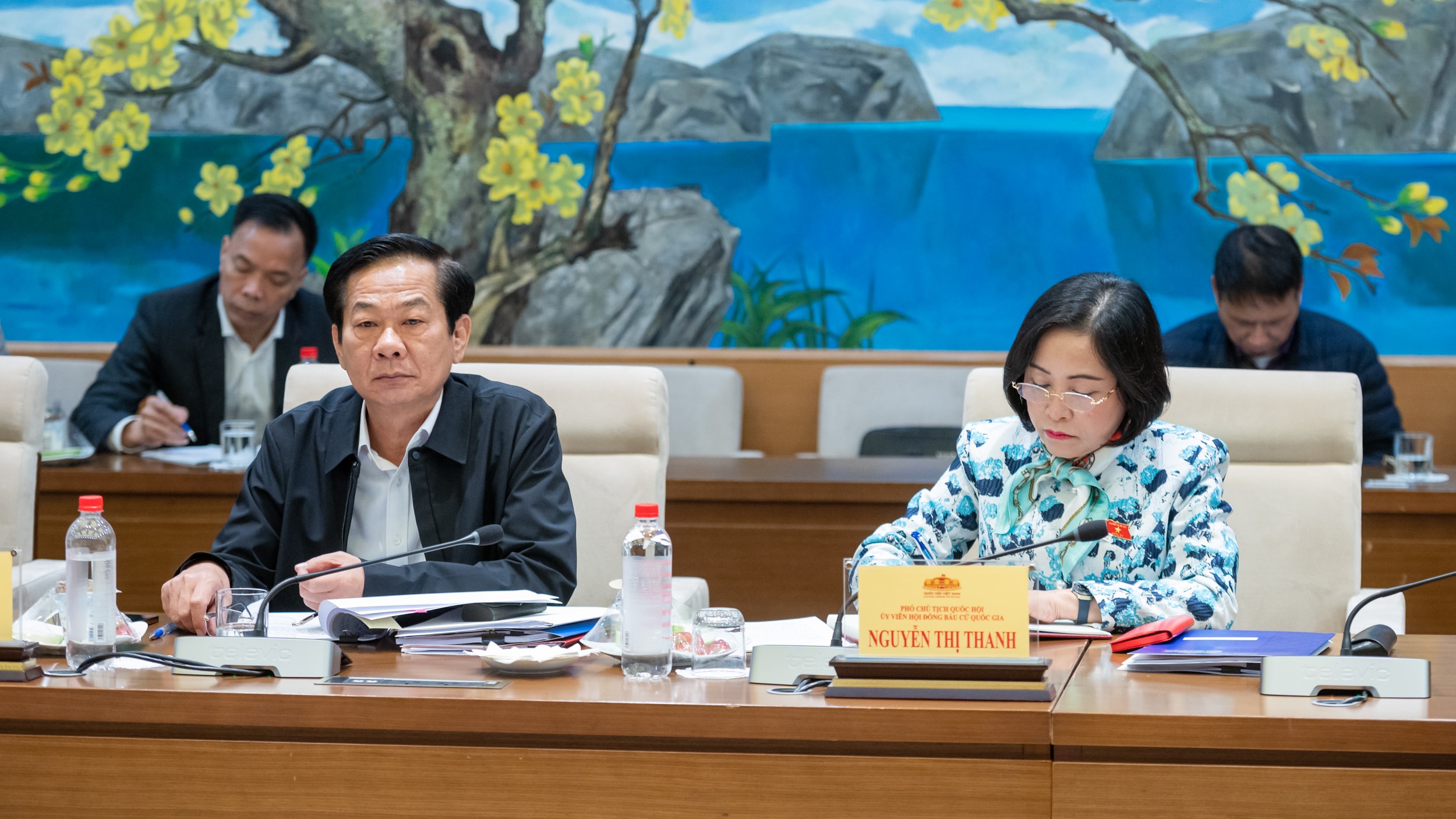 Wakil Ketua Majelis Nasional, Wakil Kepala Subkomite Personalia Nguyen Thi Thanh dan Menteri Dalam Negeri, Wakil Kepala Subkomite Personalia Do Thanh Binh hadir dalam pertemuan tersebut.