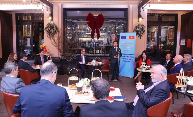 Deputy Prime Minister Tran Hong Ha speaks at the reception in Hanoi on December 16. (Photo: VNA) deputy-pm-tran-hong-ha-meets-eu-diplomats-in-vietnam.jpg