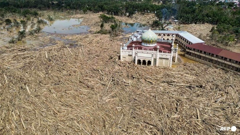 An aerial view shows vast remains of uprooted trees at the Darul Mukhlisin Islamic boarding school and mosque in the aftermath of flash floods at Aceh Tamiang in Northern Sumatra on Dec 10, 2025. (Photo: AFP)