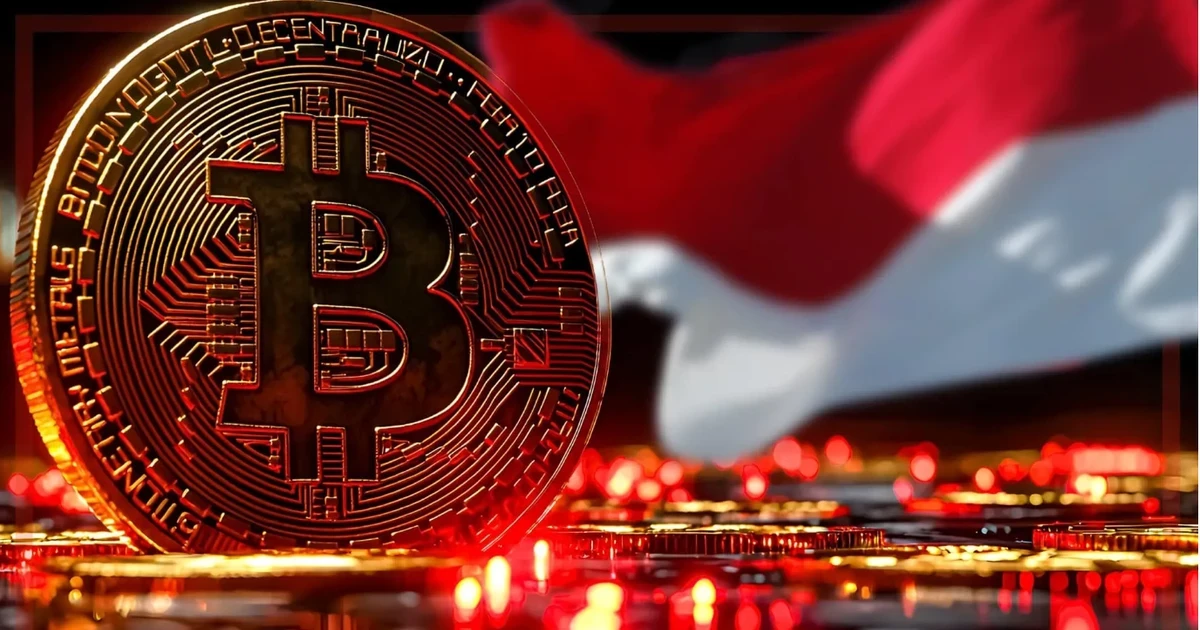 Indonesia enhances transparency in digital financial market | Vietnam+ (VietnamPlus)