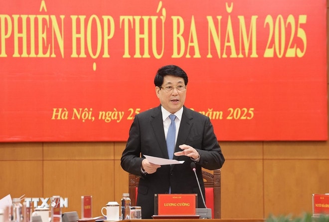 ttxvn-2512-chu-tich-nuoc-ban-chi-dao-cai-cach-tu-phap-2.jpg