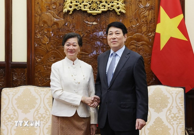 ttxvn-chu-tich-nuoc-luong-cuong-tiep-dai-su-campuchia-chea-kimtha-den-chao-tu-biet-1.jpg