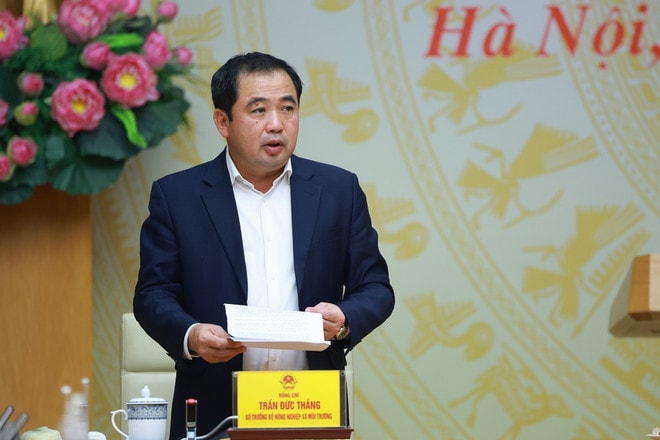 vna-potal-thu-tuong-chu-tri-phien-hop-lan-thu-28-cua-bcd-chong-khai-thac-hai-san-bat-hop-phap-8504005.jpg