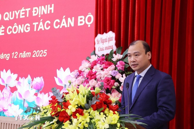 ttxvn-dong-chi-le-hai-binh-giu-chuc-pho-giam-doc-hoc-vien-chinh-tri-quoc-gia-2.jpg