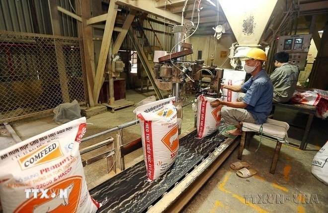 vietnam-indonesia-2.jpg