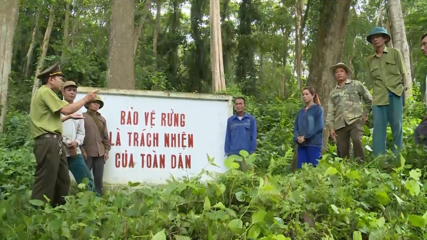 Ảnh có chứa trang phục, ngoài trời, người, rừng Nội dung do AI tạo ra có thể không chính xác.