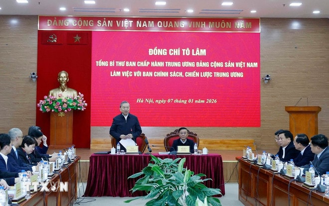 ttxvn-0701-tong-bi-thu-ban-chinh-sach-chien-luoc-trung-uong-1.jpg