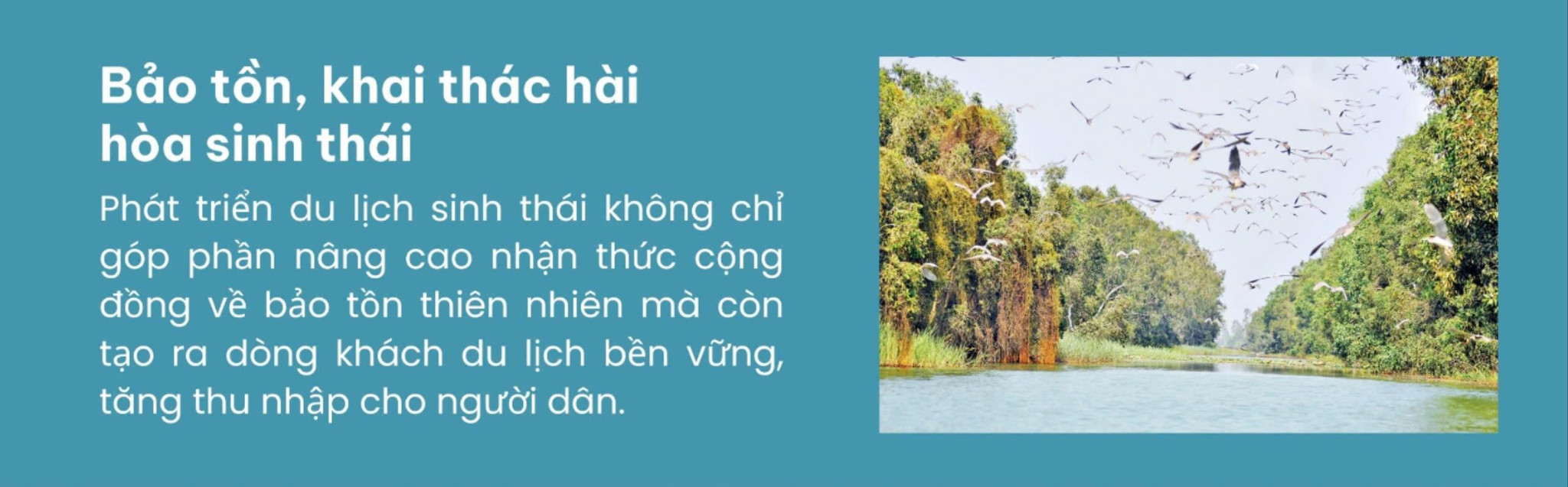 sinh-thai(1).jpg
