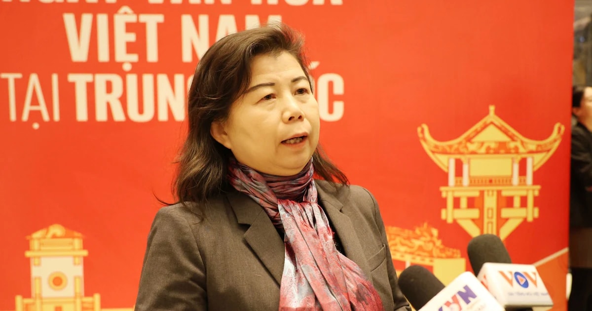 Liu Ying, a researcher from the Chongyang Institute for Financial Studies under the Renmin University of China (Photo: VNA)