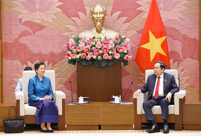 vna-potal-chu-tich-quoc-hoi-tran-thanh-man-tiep-dai-su-campuchia-chao-tu-biet-8527336.jpg