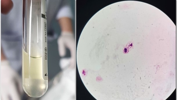 hhh.jpg