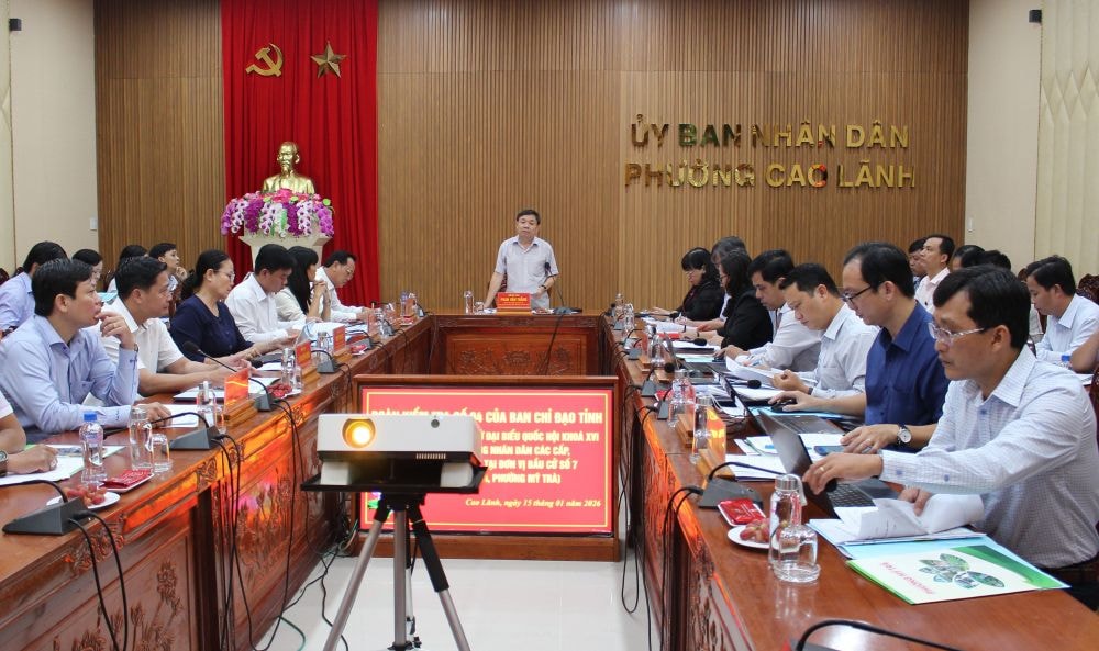 Đồng Tháp+++