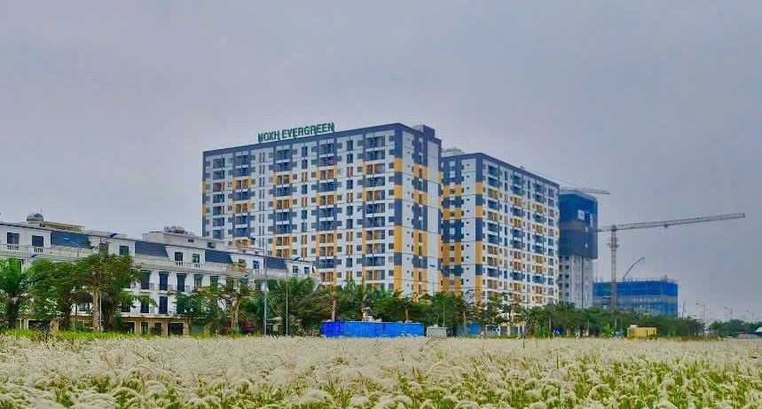 Giai đoạn 2021 - 2025, Hải Phòng phát triển nhà ở xã hội vượt chỉ tiêu Chính phủ giao, được đánh giá là điểm sáng của cả nước về phát triển nhà ở xã hội.