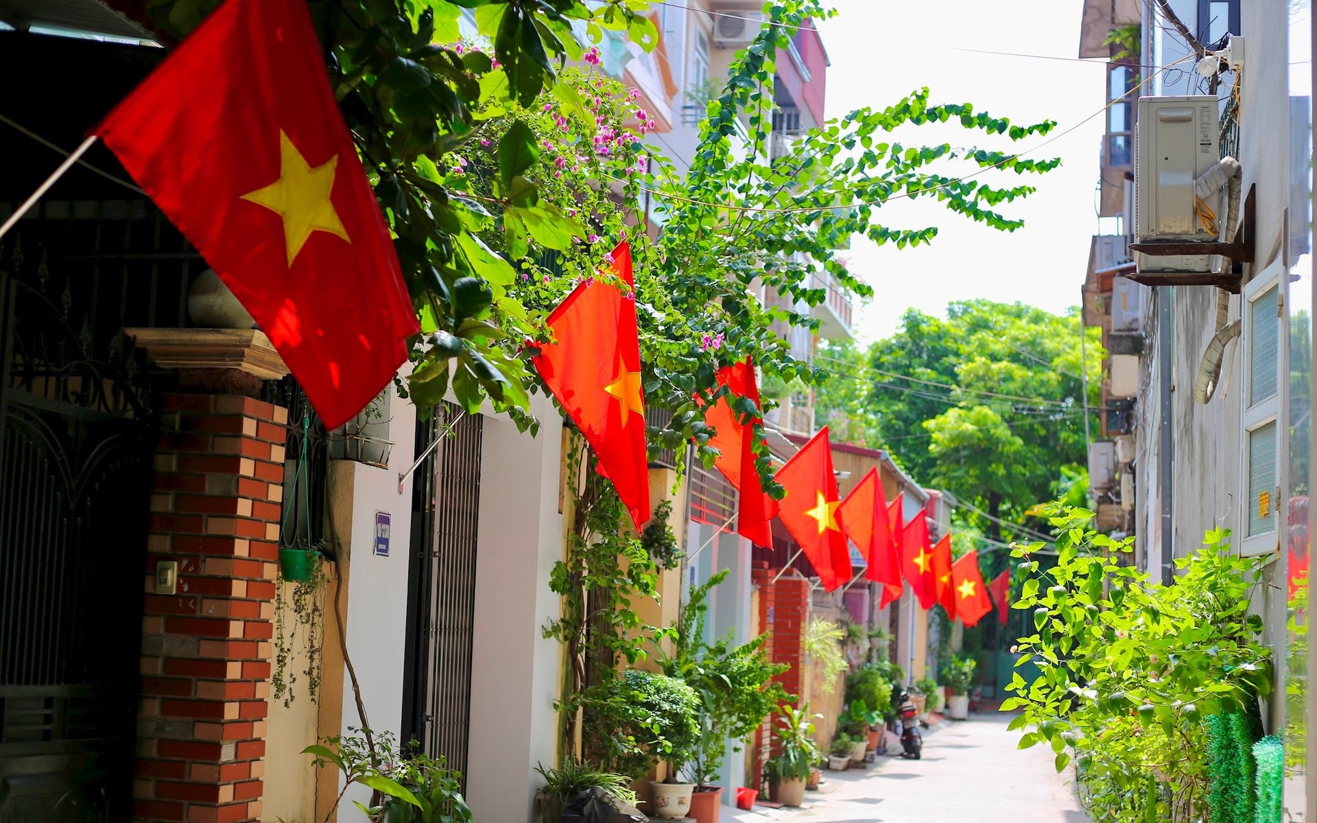 Treo cờ