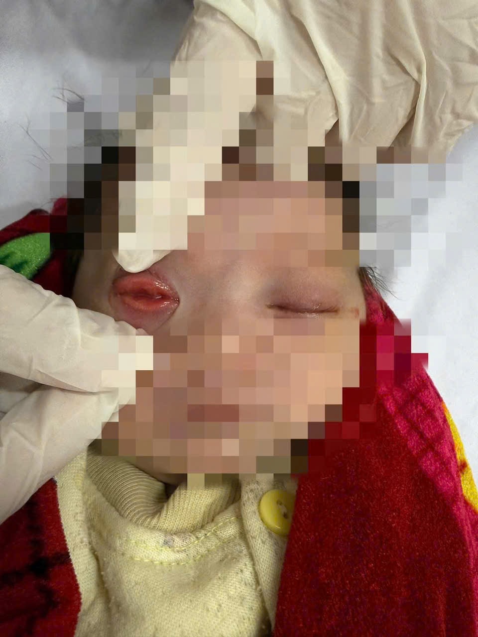 z7445833815547_9f5143678864fb5eccabe98efd1c7dd7.jpg
