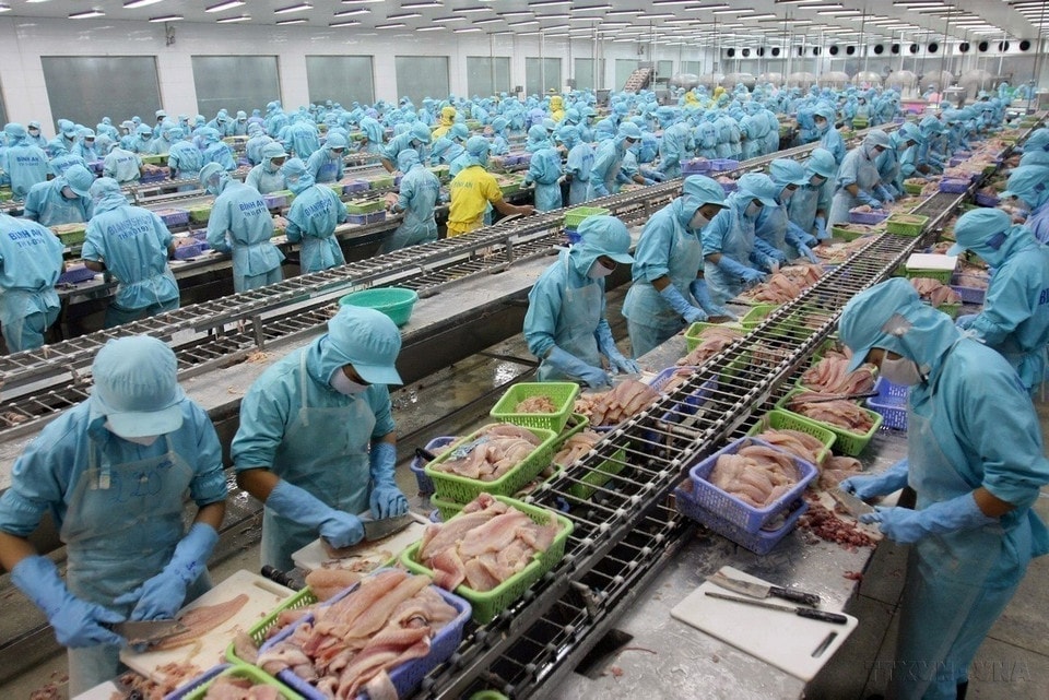 The agricultural sector developed with relative stability, while agricultural and rural industrialisation and modernisation recorded important progress. Exports of coffee, rubber, cashew nuts, pepper and aquatic products reached large volumes and ranked high globally. In the photo: aquatic products are among Vietnam’s fastest-growing export items during the renovation period. (Photo: VNA)