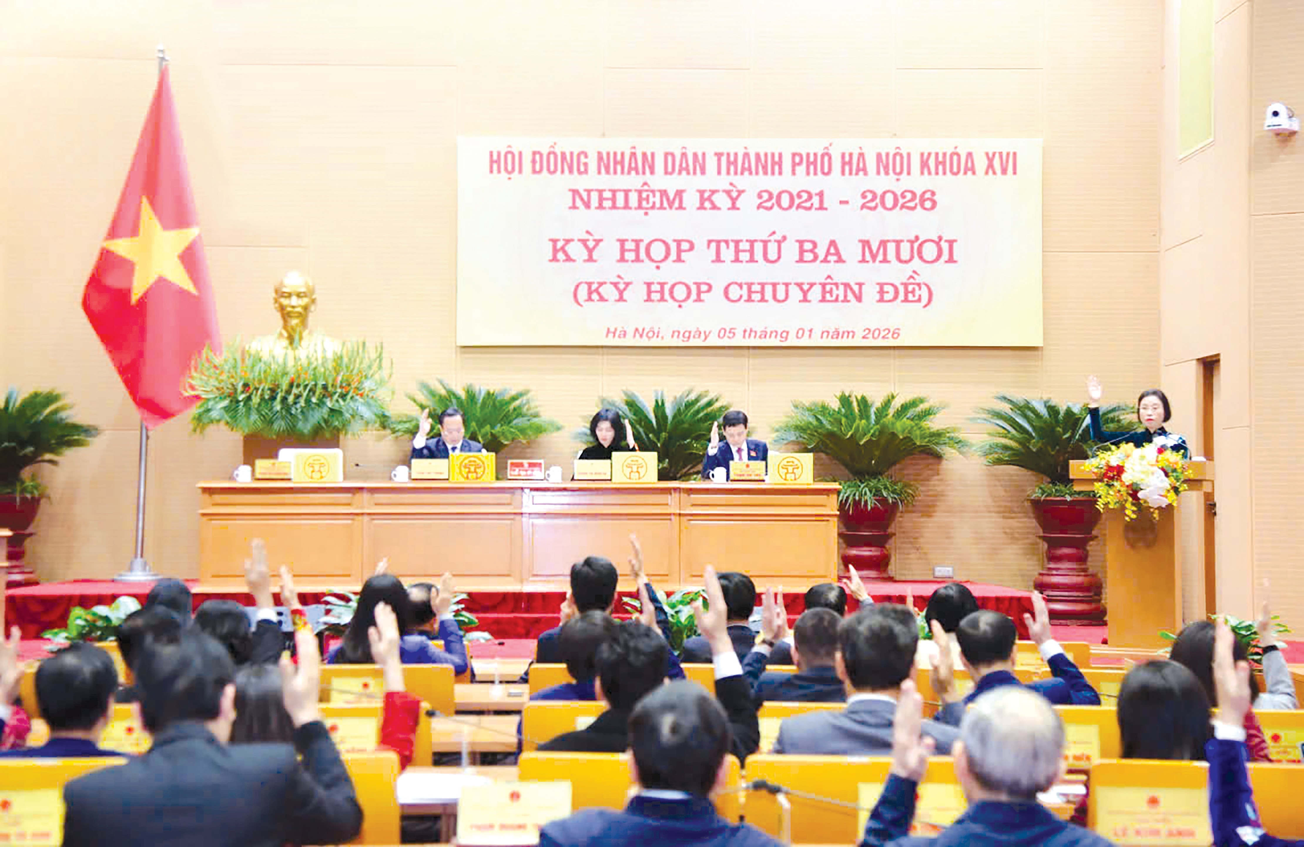 cf3af687a5da2b8472cb.jpg
