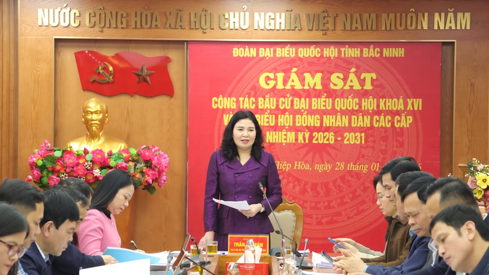 Phó trưởng Đoàn ĐBQH tỉnh Trần Thị Vân chủ trì hội nghị giám sát tại xã Hiệp Hòa. Ảnh Xuân Hà
