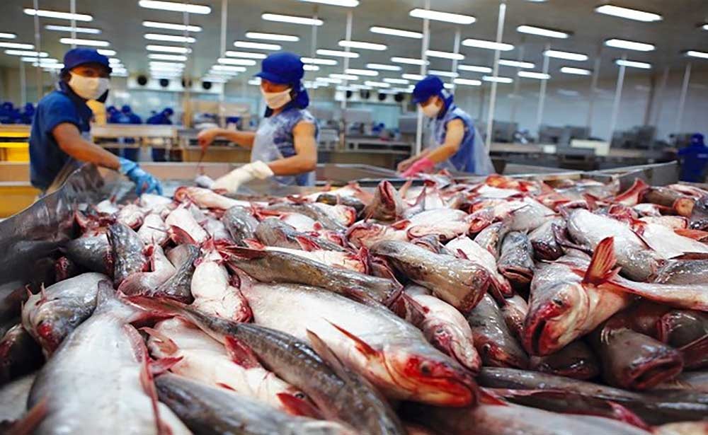 nam-2025-viet-nam-thu-gan-22-ty-usd-tu-xuat-khou-ca-tra.jpg