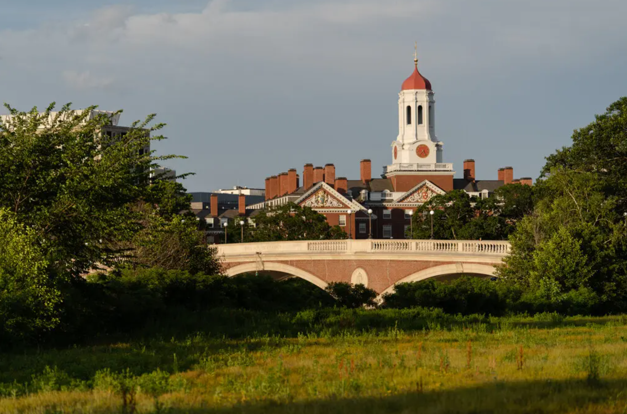 harvard.png