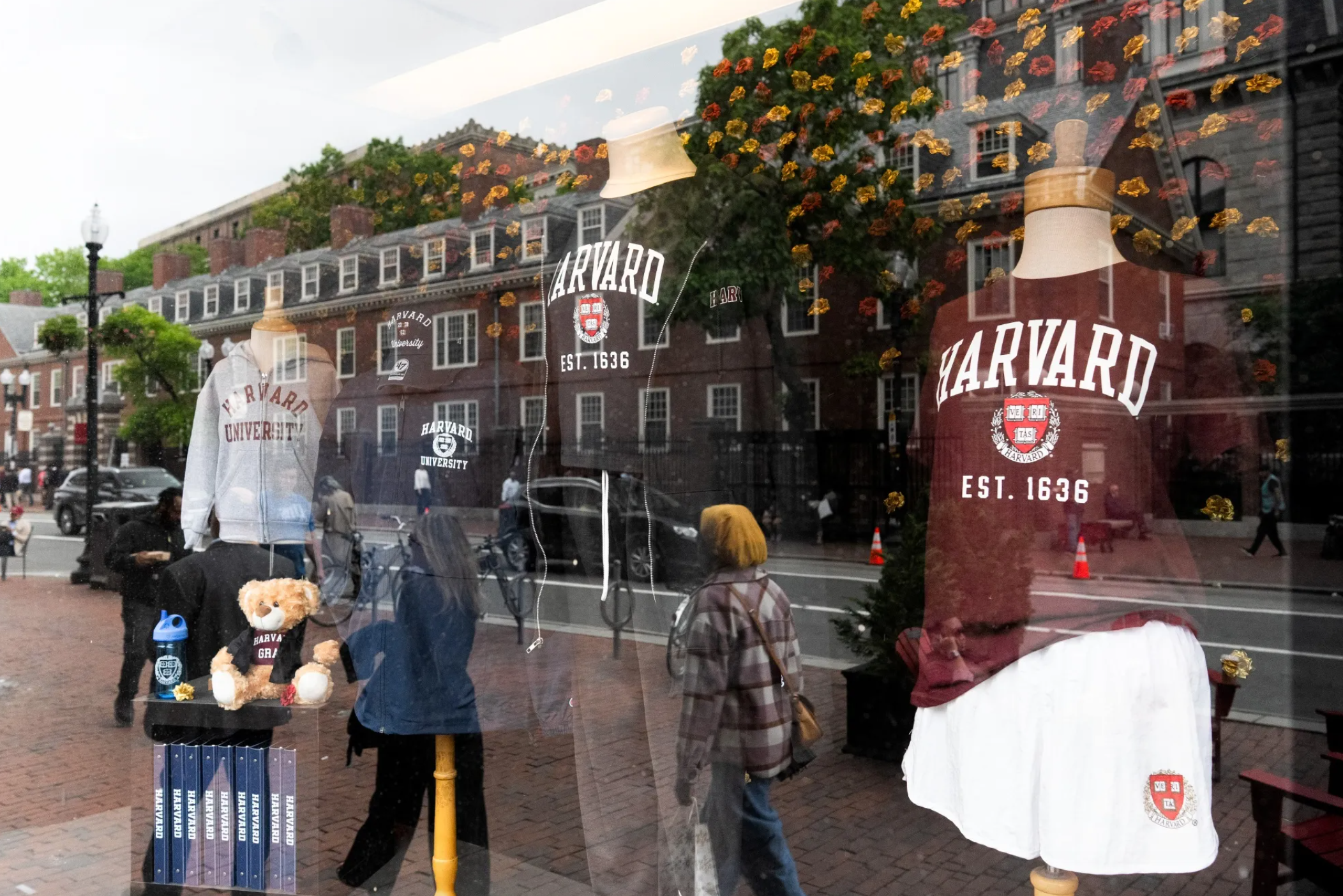 harvard1.png