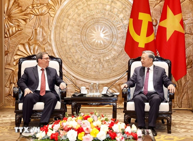 ttxvn-tong-bi-thu-to-lam-tiep-dac-phai-vien-dang-nha-nuoc-cuba-uy-vien-bo-chinh-tri-bo-truong-ngoai-giao-cuba-02-2.jpg