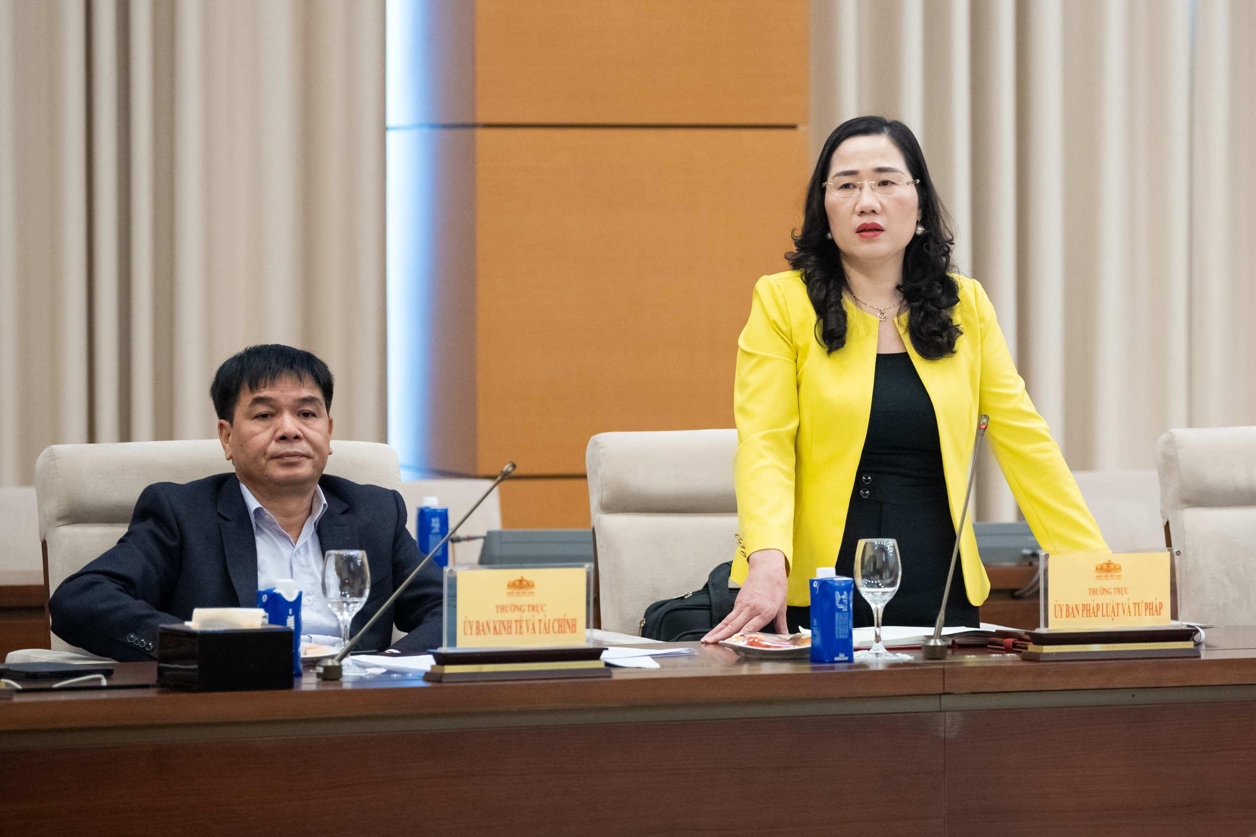 Phó Chủ nhiệm Ủy ban Pháp luật và Tư pháp Nguyễn Thị Thủy phát biểu