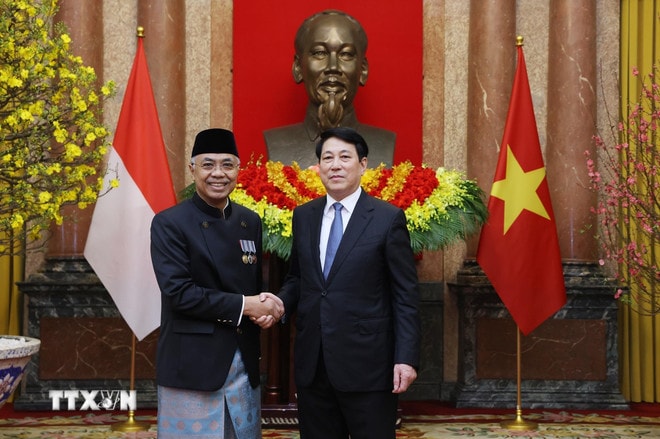 Chủ tịch nước Lương Cường với Đại sứ Cộng hòa Indonesia tại Việt Nam Adam Mulawarman Tugio chụp ảnh chung. (Ảnh: Lâm Khánh/TTXVN) ttxvn-chu-tich-nuoc-tiep-dai-su-indonesia-trinh-quoc-thu-8577328-5.jpg
