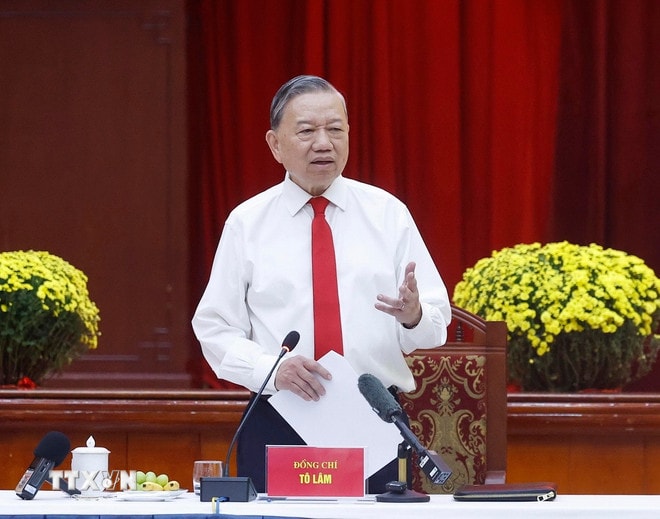 ttxvn-tong-bi-thu-gap-mat-nguyen-uy-vien-trung-uong-dang-khu-vuc-phia-nam-6.jpg
