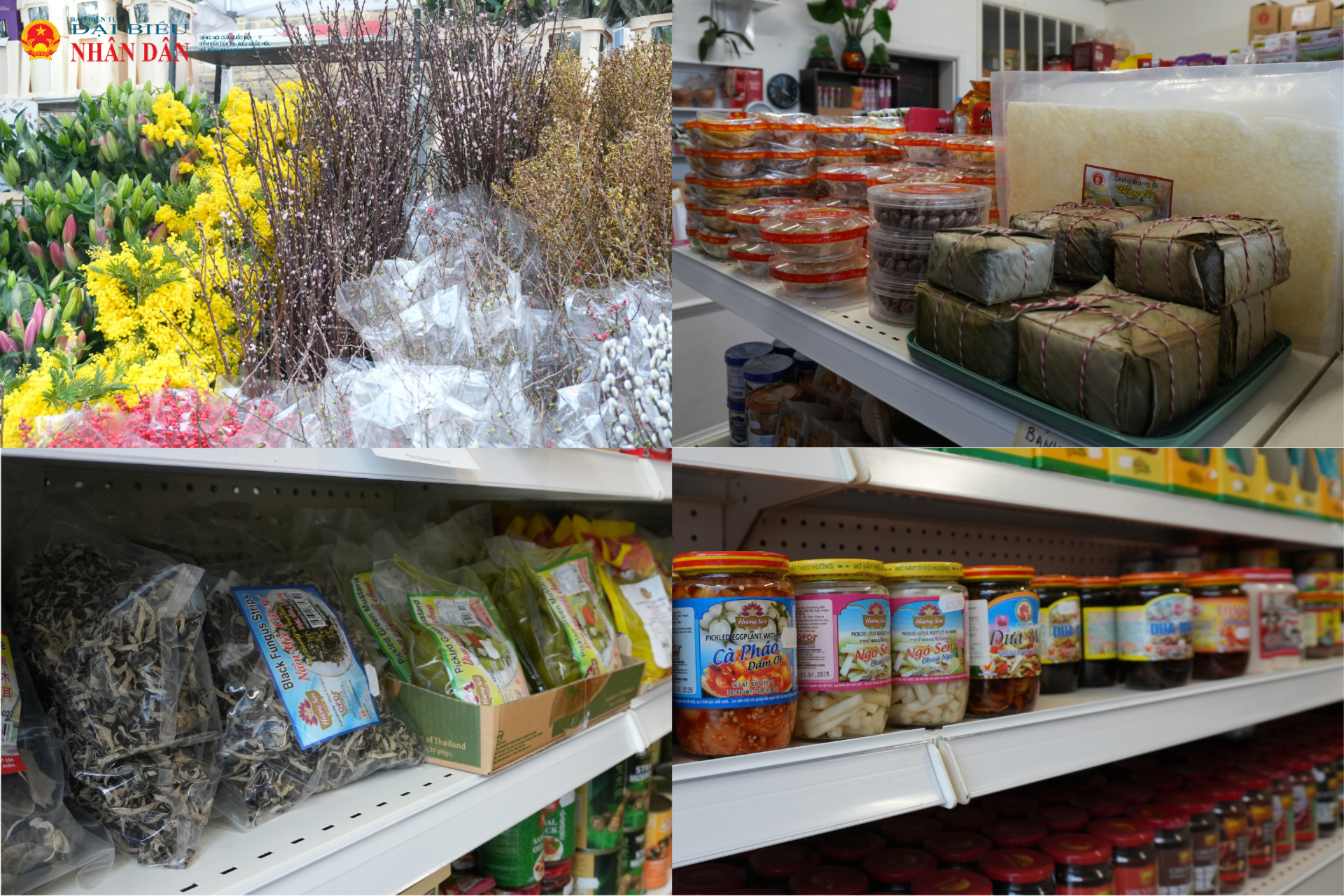 thiet-ke-chua-co-ten-13-(1).png