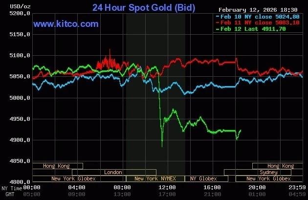gold-2026-02-13t062814-989-177-2365-7364-1770940844.webp