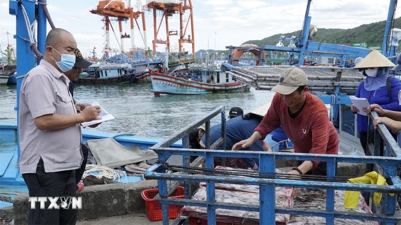 Monitoring the unloading of fish at the port. (Photo: VNA)