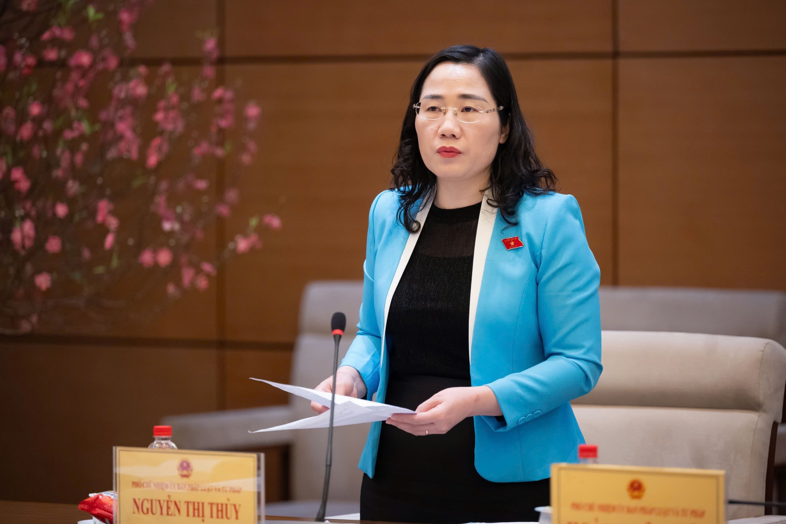 Phó Chủ nhiệm Ủy ban Pháp luật và Tư pháp Nguyễn Thị Thủy