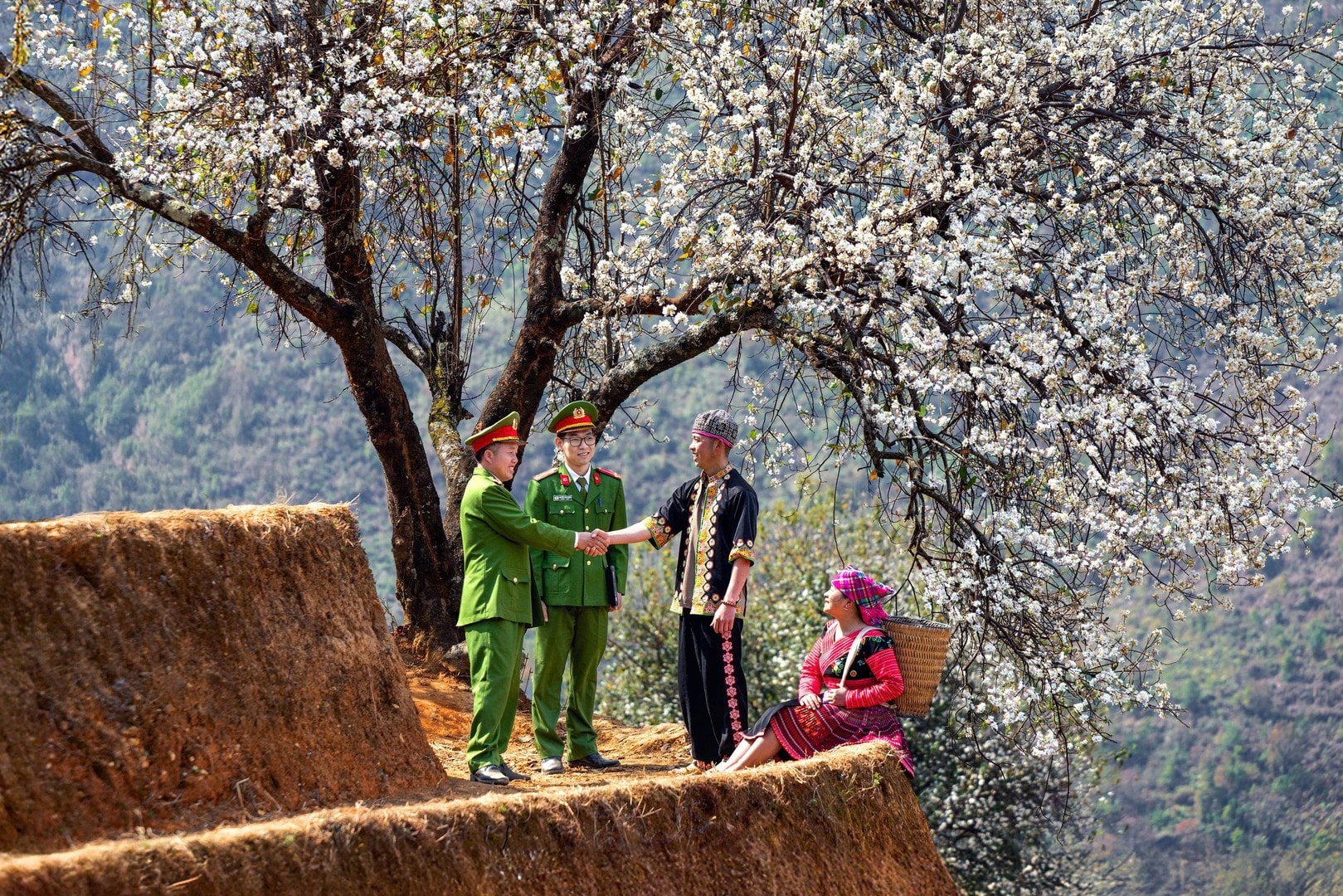 Bild in voller Breite