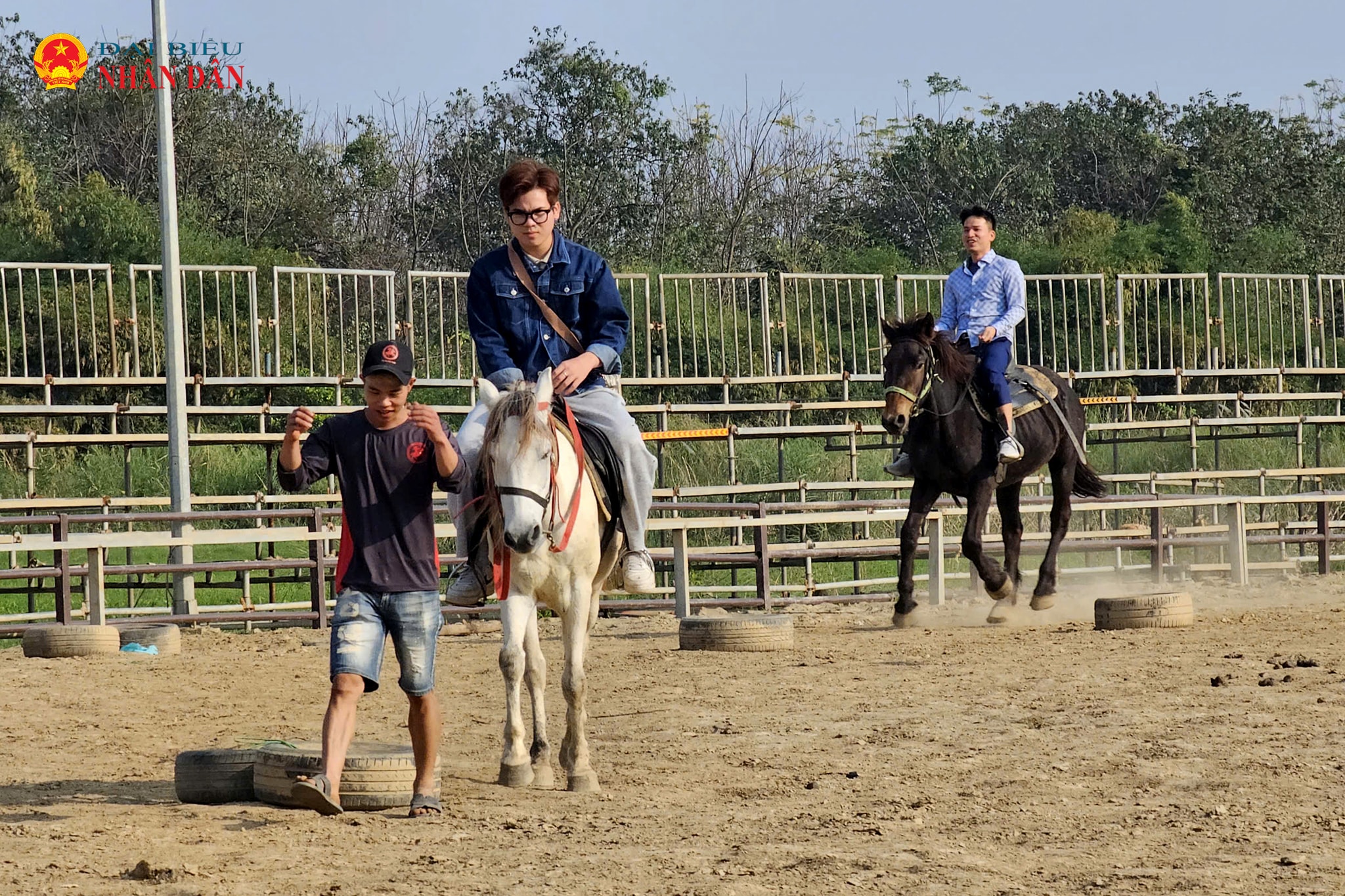 bai da song Hong_2026 (16)