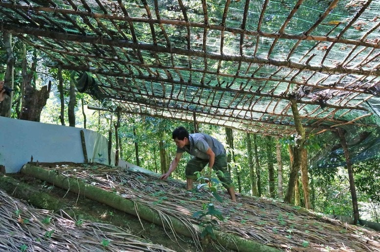 Ảnh minh hoạ