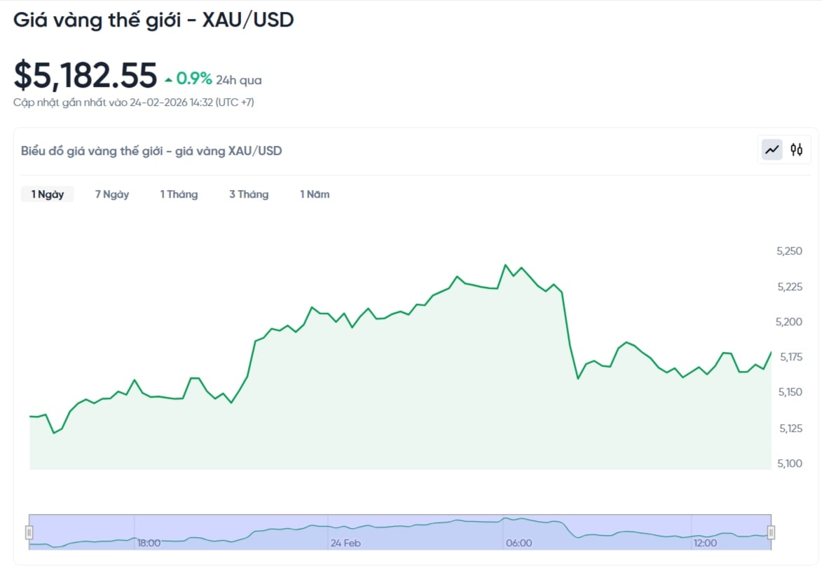 gia-vang-the-gioi-hom-nay-bieu-do-gia-vang-xauusd-kitco-02-24-2026_02_33_pm (1)