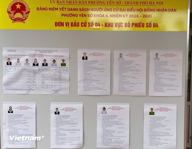 vnp-yen-so-2.jpg