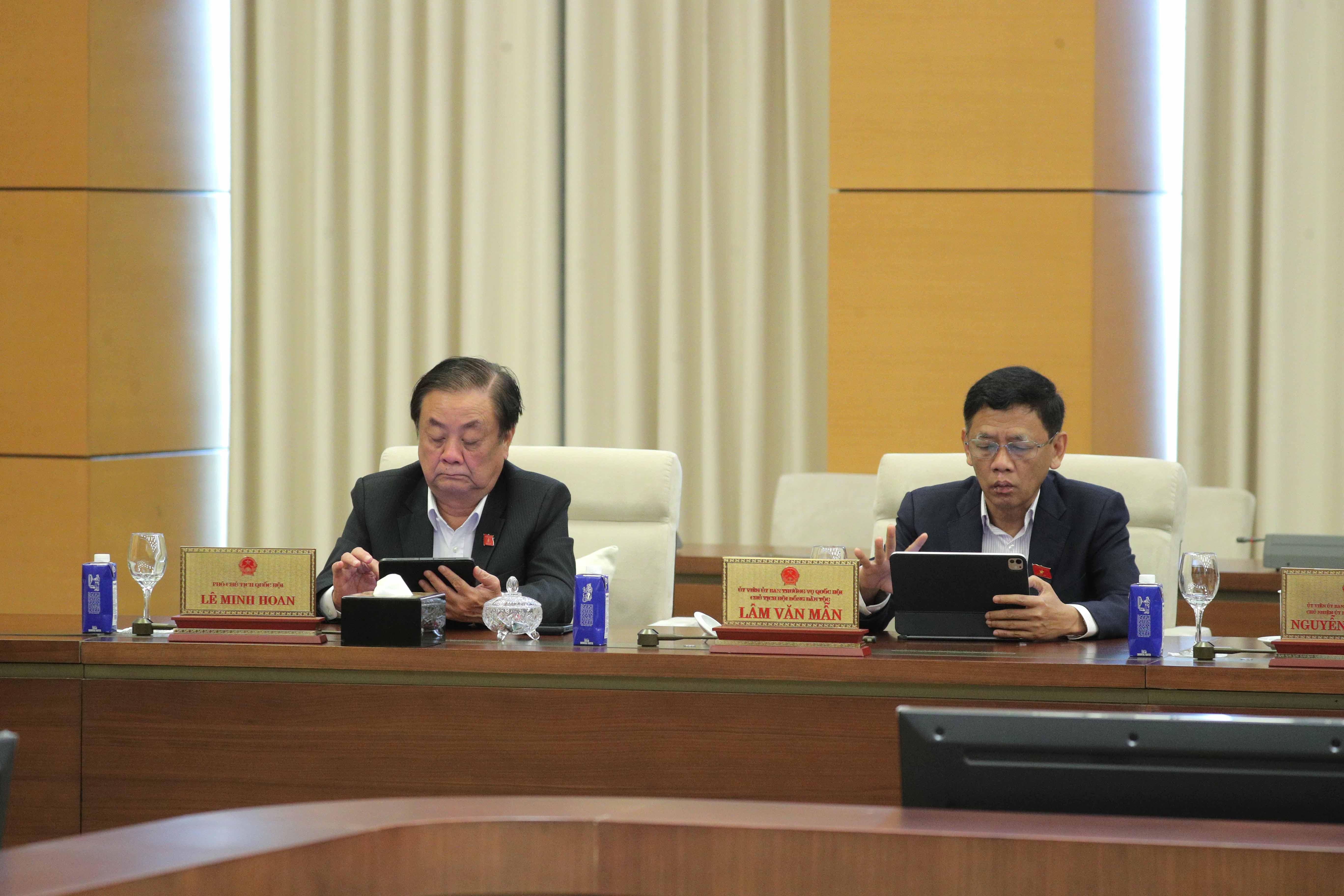 Các đại biểu dự