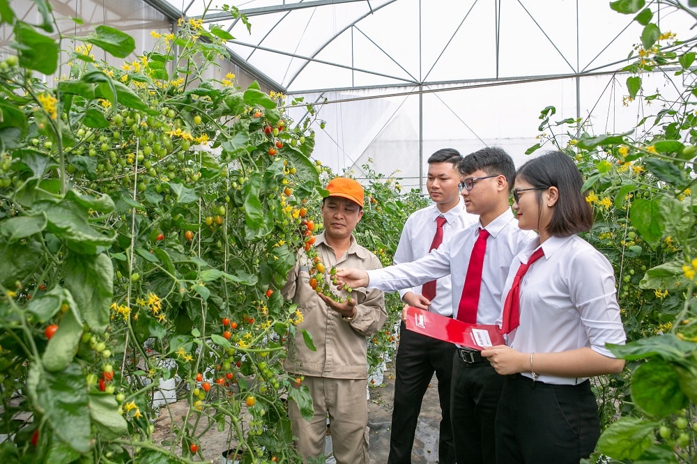 agribank-tay-ninh.jpg