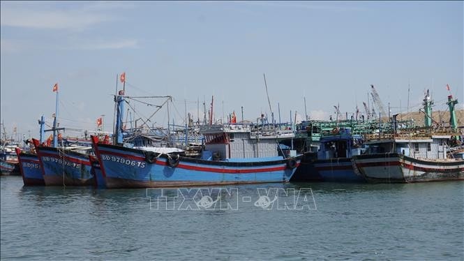 Fishing vessels are anchored at a fishing port in Quy Nhon ward, Gia Lai province. (Photo: VNA)