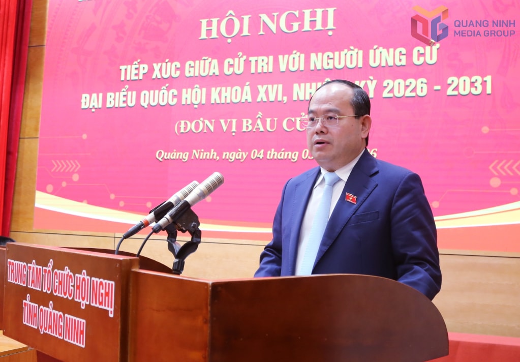 Bí thư Tỉnh ủy, Trưởng Đoàn ĐBQH tỉnh Quản Minh Cường trình bày chương trình hành động.