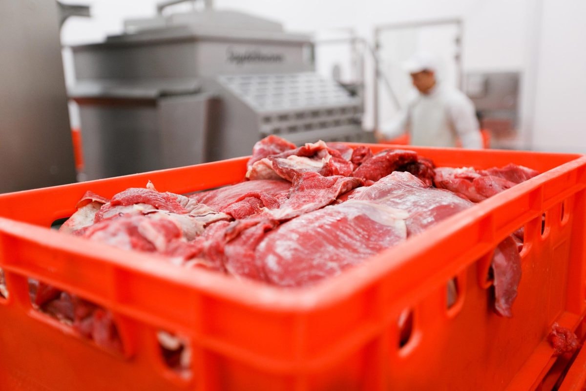 raw-red-meat-plastic-crate-1200x800.jpg