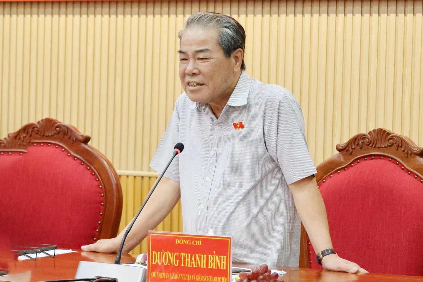 Chủ nhiệm Ủy ban Dân nguyện và Giám sát Dương Thanh Bình phát biểu